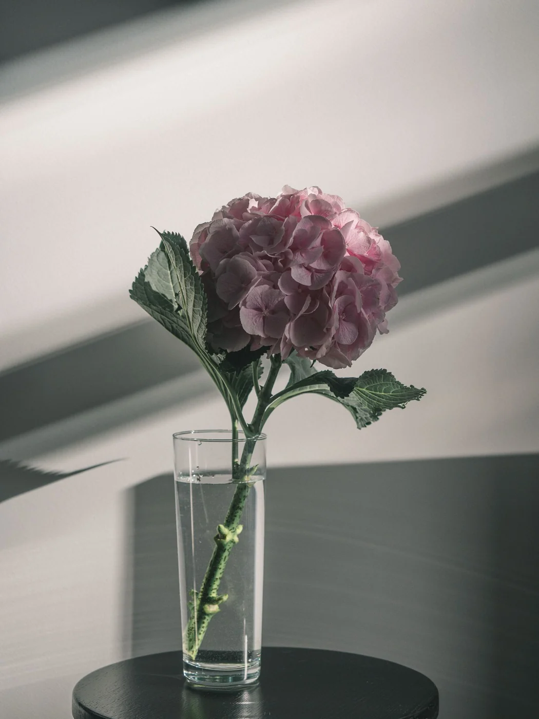 A single hydrangea stem in a clear glass vase on a round table.