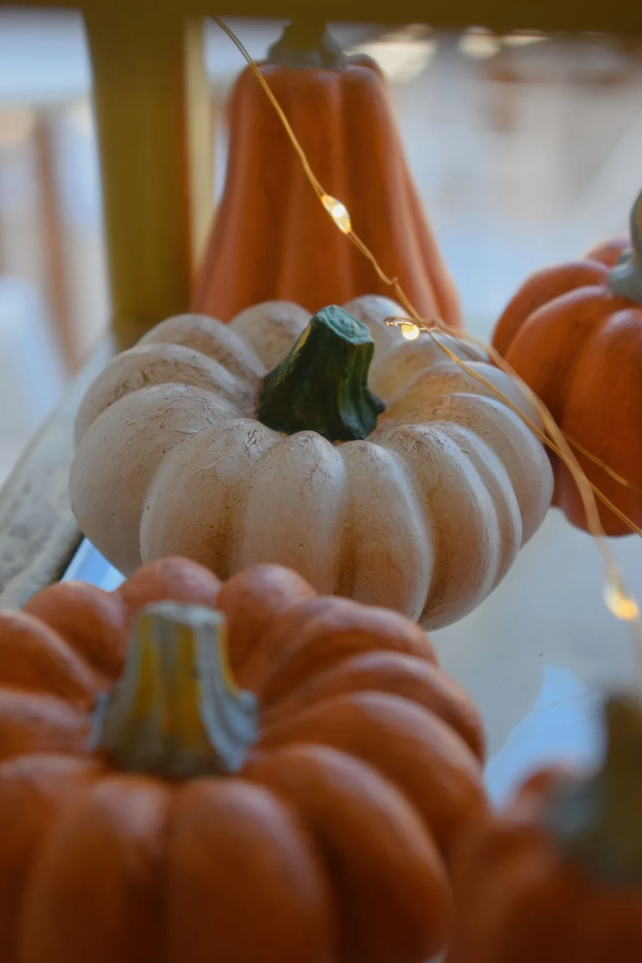 Elegant autumn setup featuring pumpkins and fairy lights for seasonal decoration.