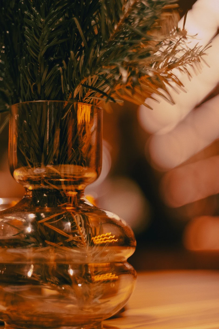Elegant pine branches in a glass vase, perfect for festive winter decor.