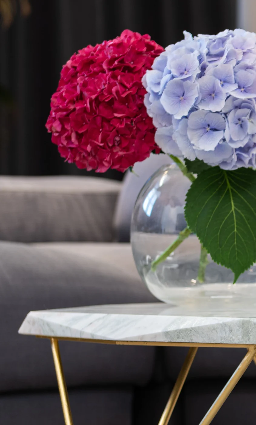 Pink and pale blue hydrangeas in a round glass vase on a side table beside a sofa.