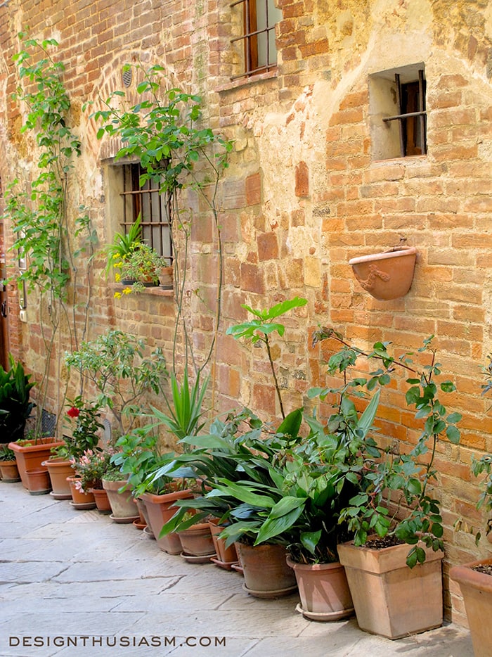 Pienza's potted plants