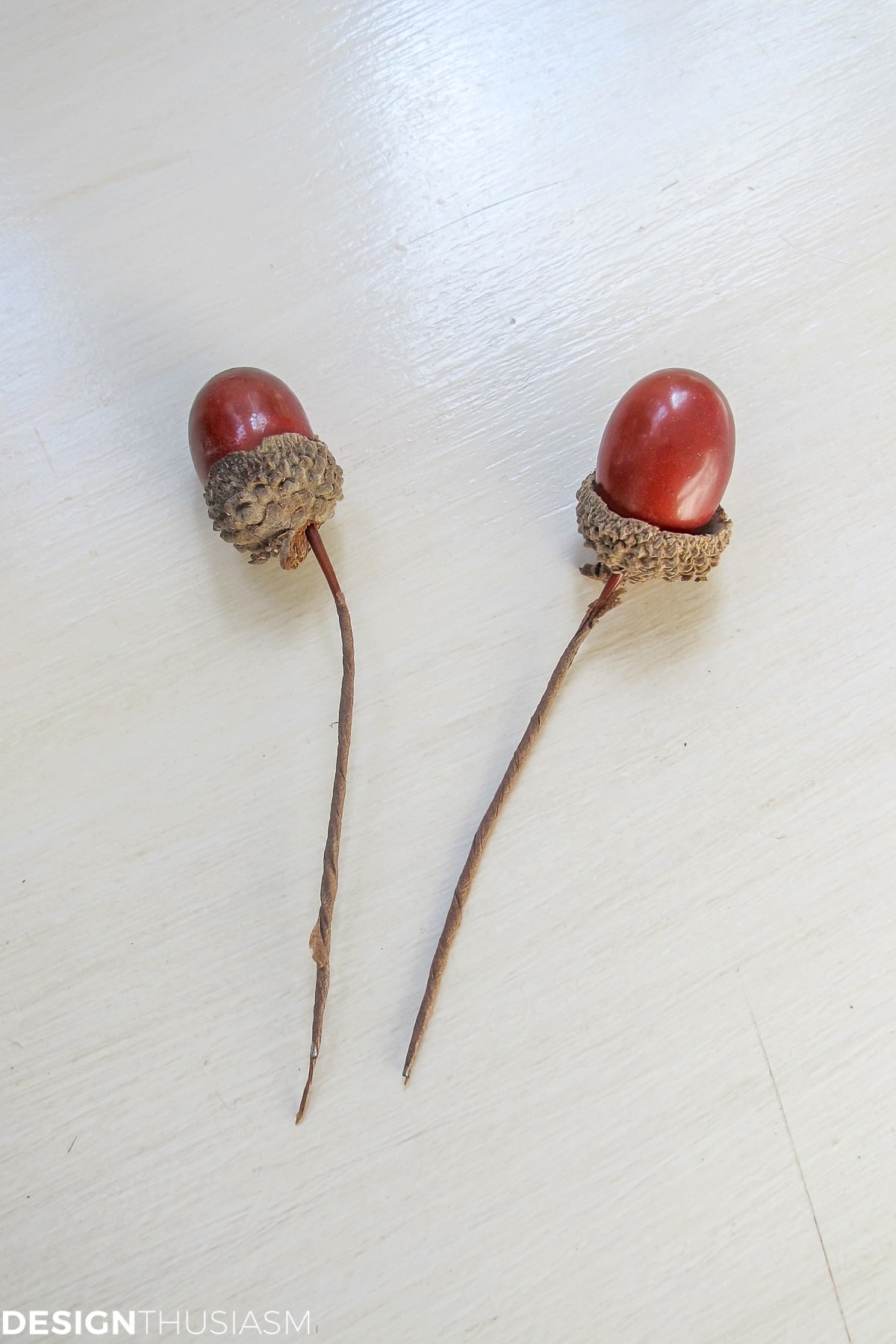 acorns for DIY napkin rings