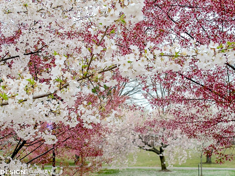Cherry blossom branches and tablescapes
