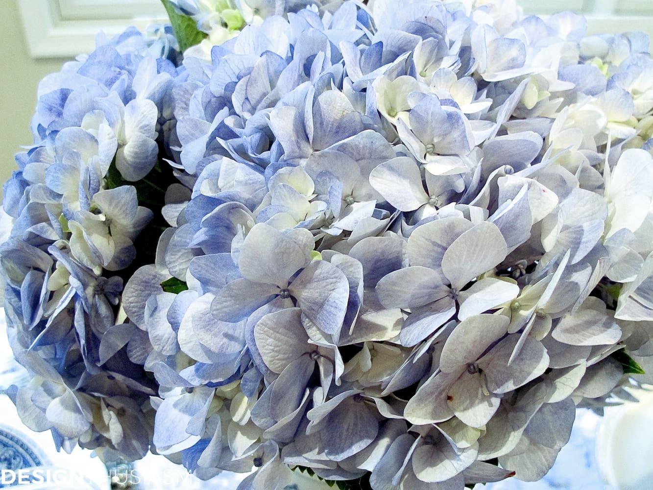 French Toile in a Blue and White Holiday Table Setting - terilynadamsblog.com