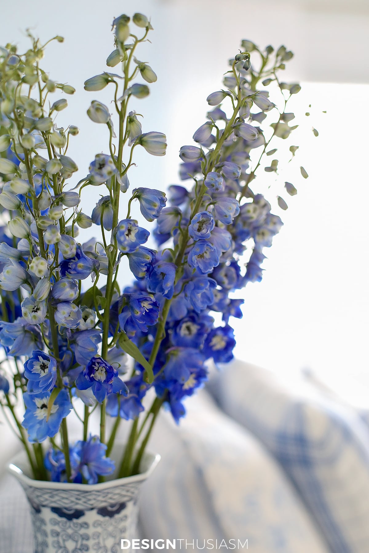 french blue bedroom delphiniums