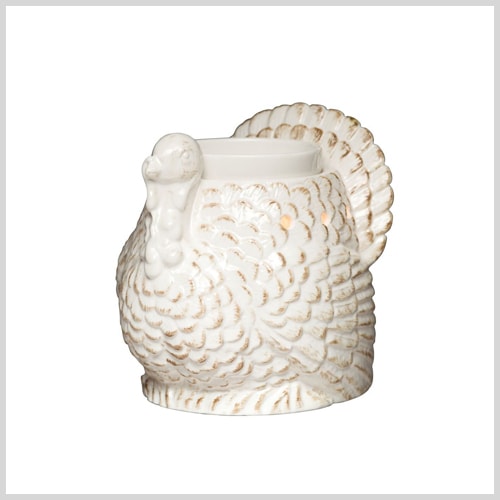 turkey pitcher