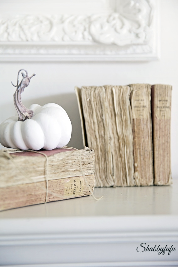how-to-make-new-books-look-old-shabbyfufublog