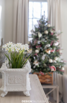 paper whites in planter
