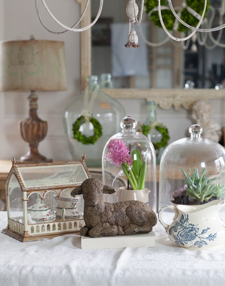 indoor plants