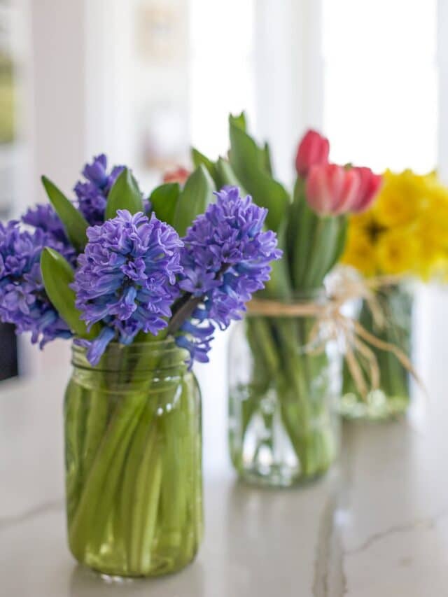 Spring Room Decor | 6 ways to add spring cheer to your home | terilynadamsblog.com