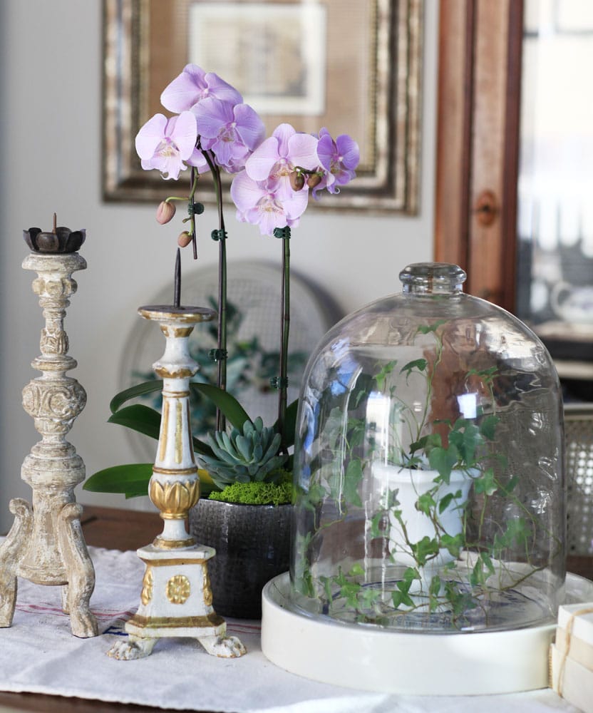 ORCHID-AND-candles