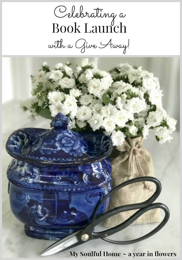 beautiful new book-give-away