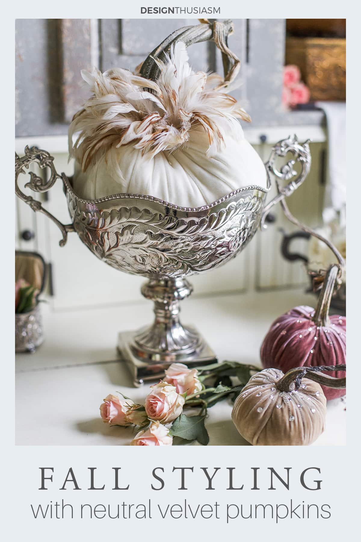 velvet pumpkins