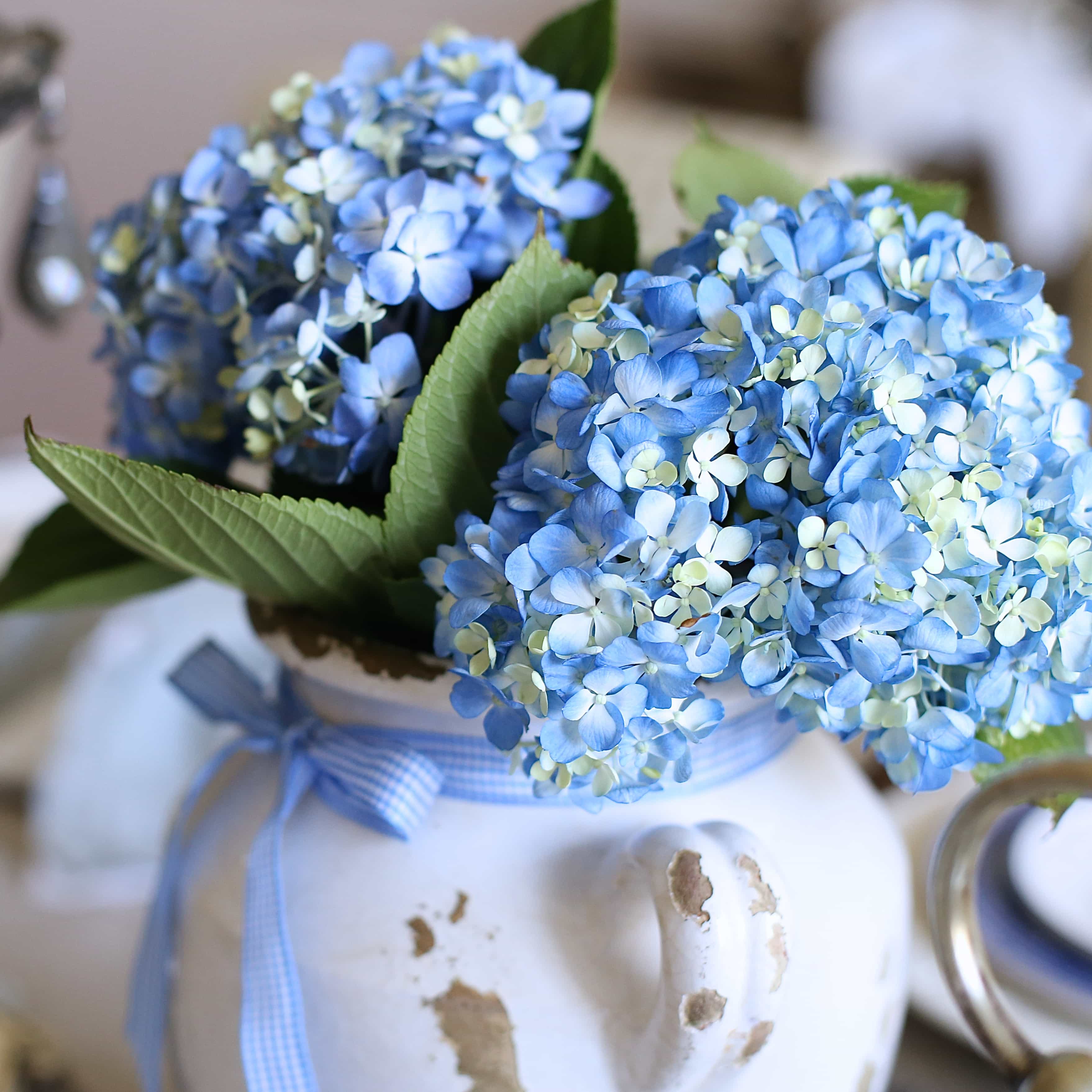 Senior Living | Decorating a Lovely Apartment for Aging Parents - terilynadamsblog.com