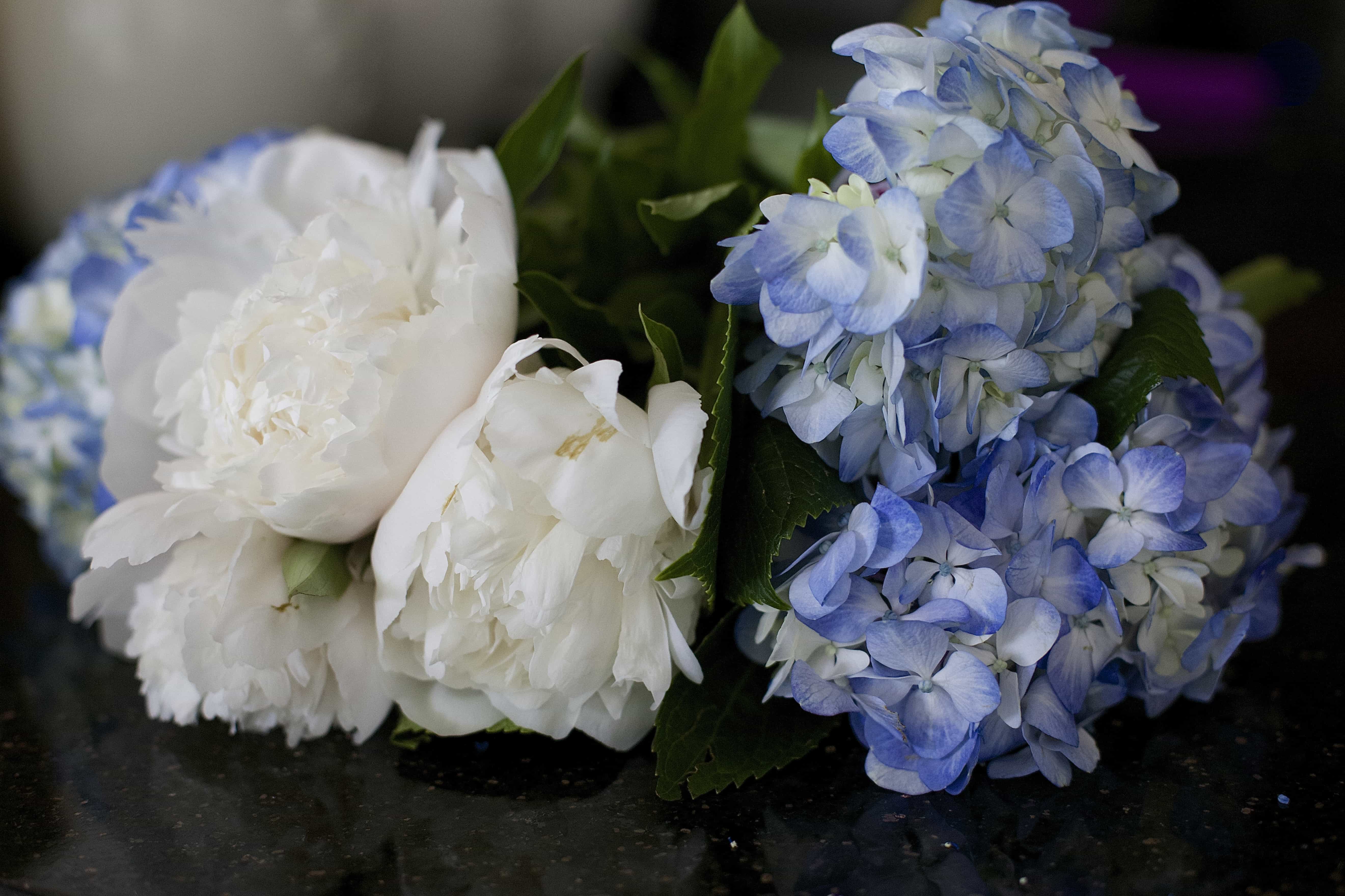Senior Living | Decorating a Lovely Apartment for Aging Parents - terilynadamsblog.com