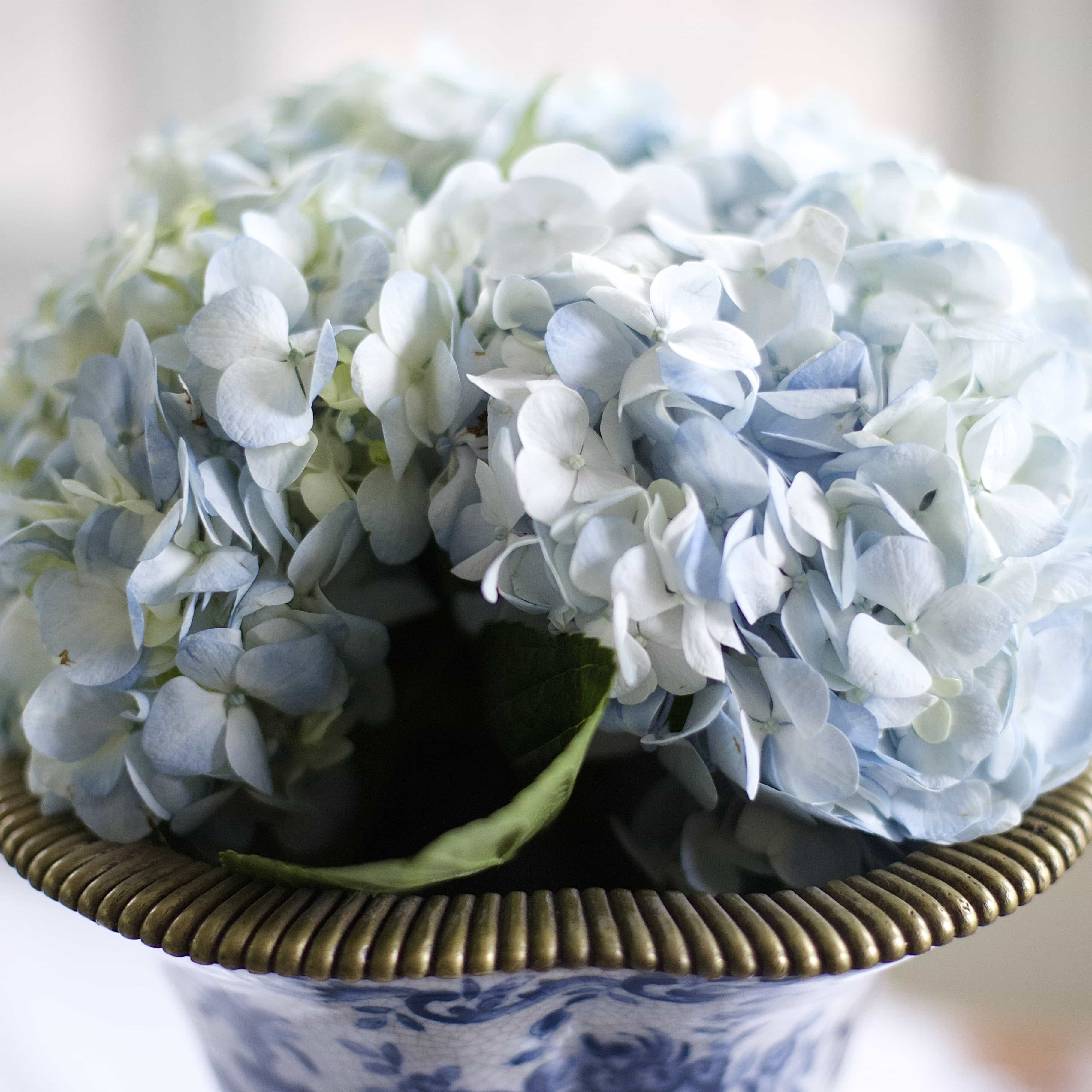 Senior Living | Decorating a Lovely Apartment for Aging Parents - terilynadamsblog.com