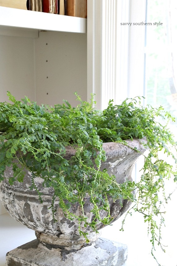 Savvy Southern Style