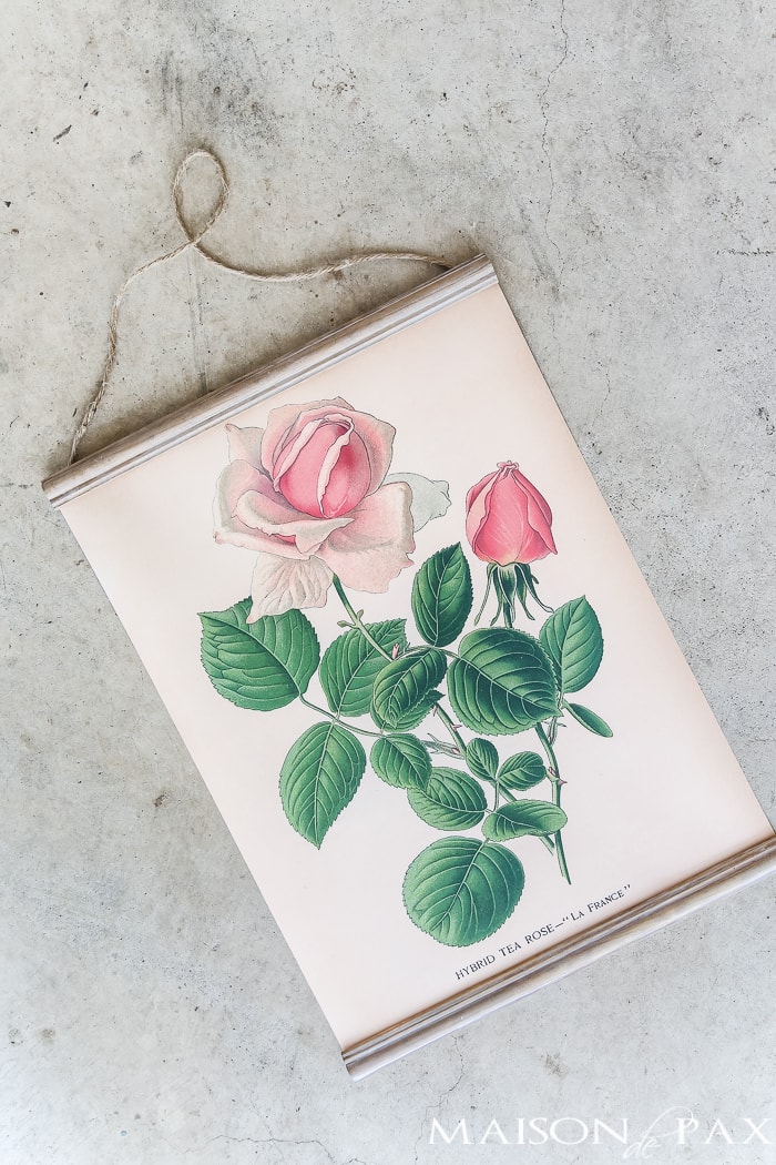 diy hanging printable rose botanical
