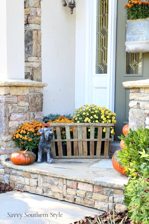 Savvy Southern Style