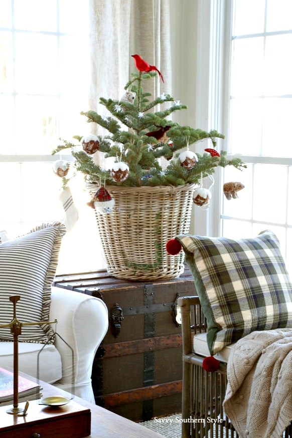 Savvy Southern Style