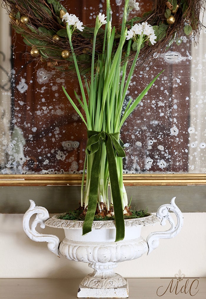 XmasEntryway7_MdC