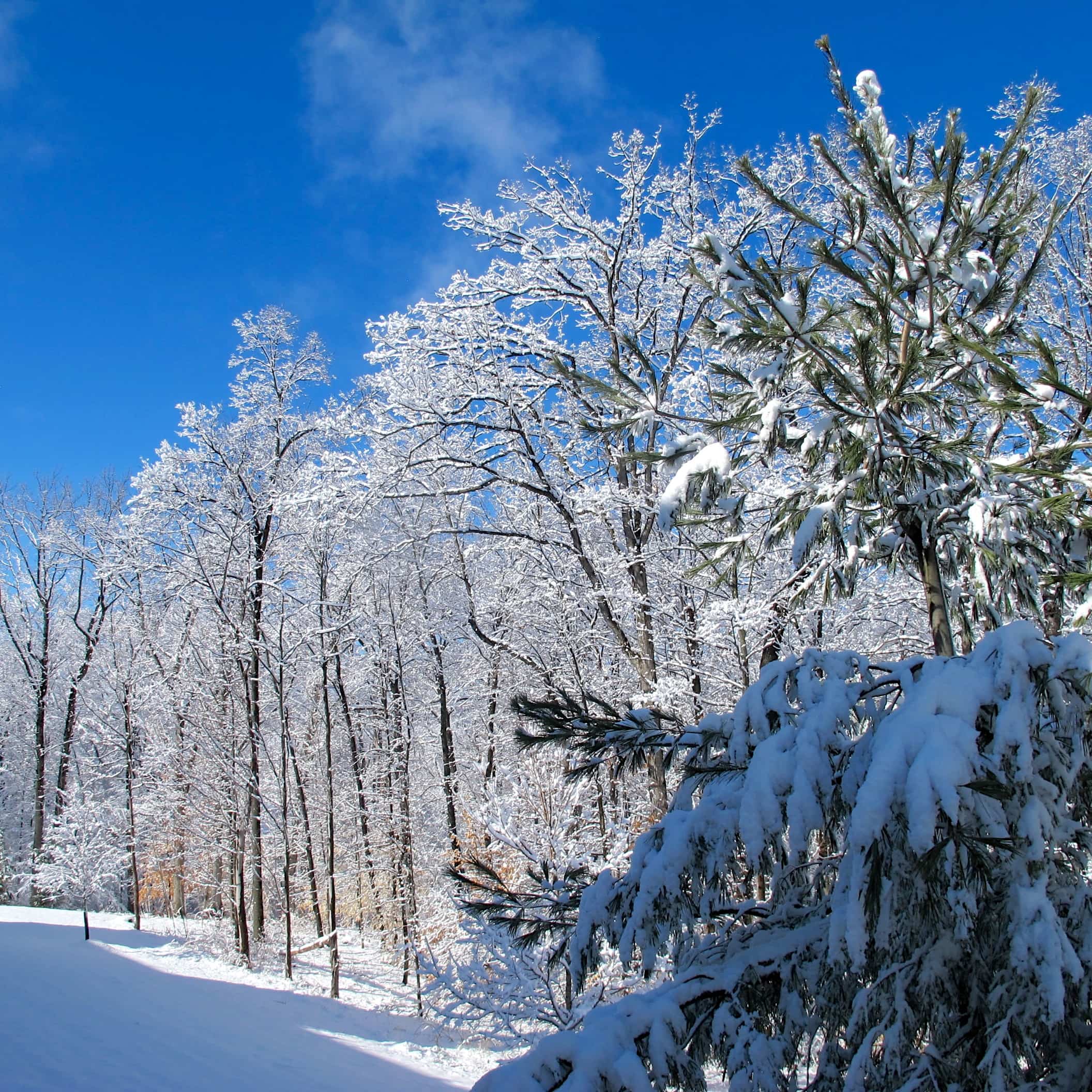 A new year and a winter snow storm