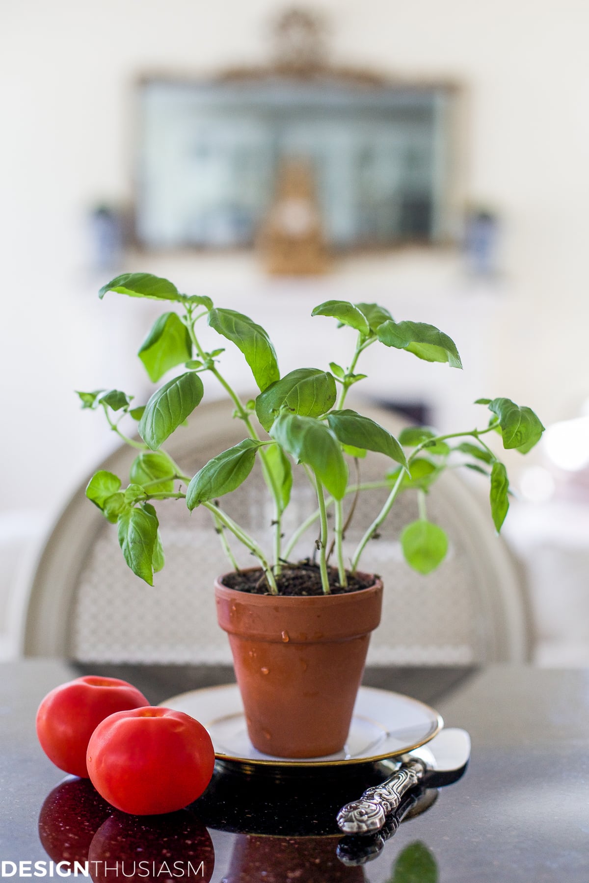 10 Ways to Use Home Fragrance to Add Luxury to Your Day - terilynadamsblog.com