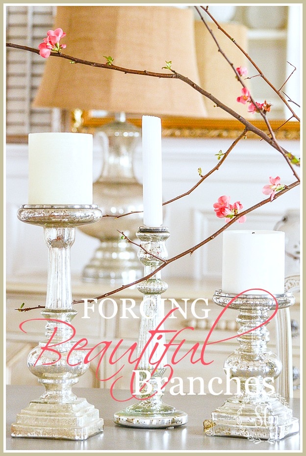 FORCING BRANCHES- TITLE PAGE-stonegableblog