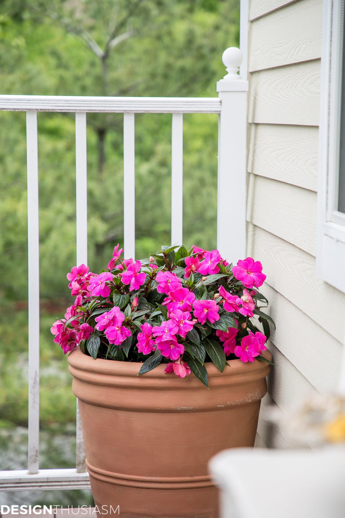 Summer Color Patio planter