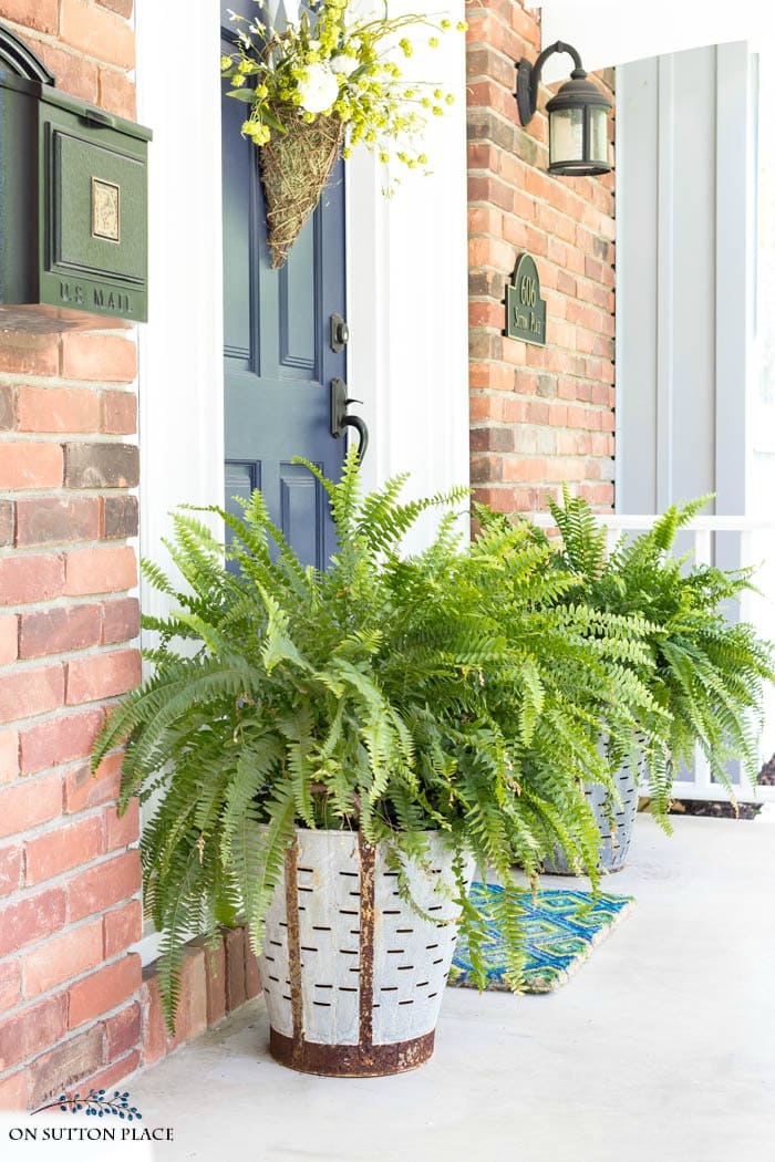 Olive Bucket Planters from On Sutton Place