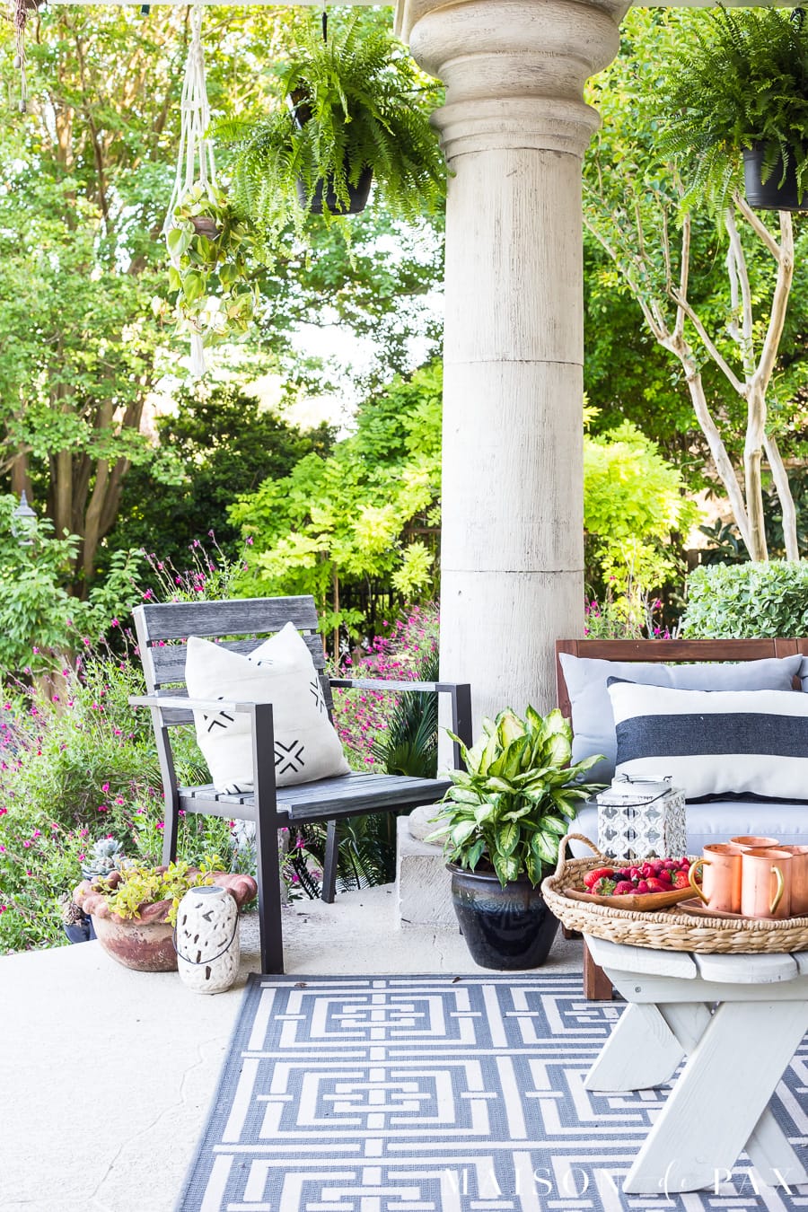 black white spring summer patio ferns succulents