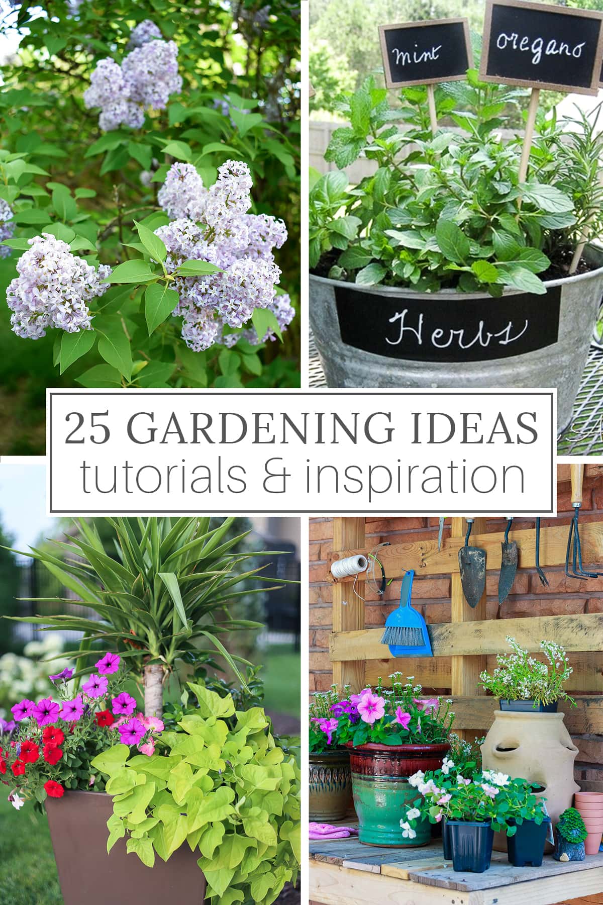 25 Gardening Ideas, Tutorials and Inspiration
