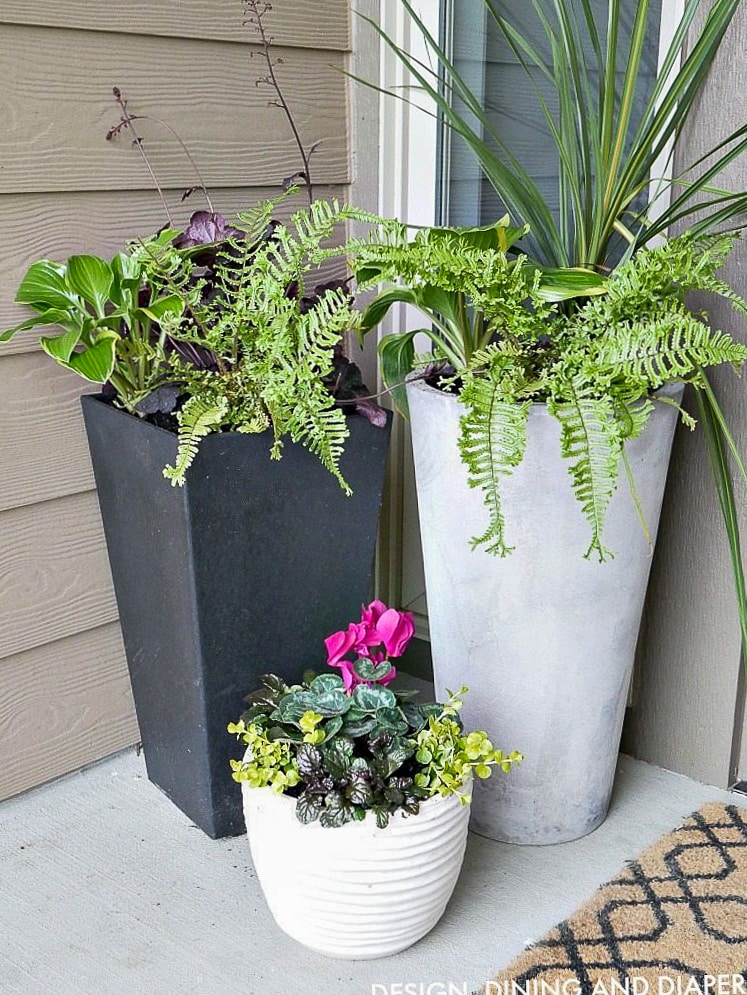 DIY FRONT PORCH PLANTER IDEAS - Taryn Whiteaker