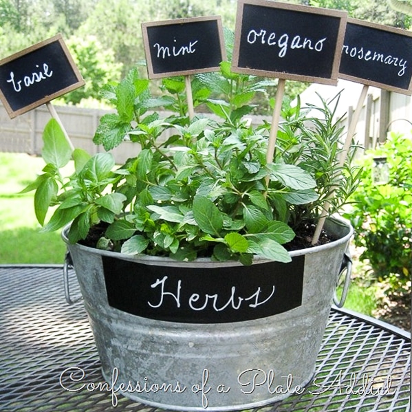 DIY Mini Herb Garden - CONFESSIONS OF A PLATE ADDICT