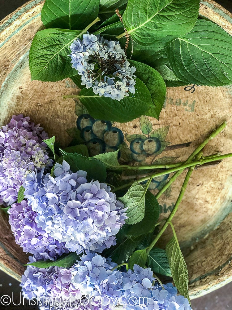 HOW TO PLANT A CUTTING GARDEN - Unskinny Boppy