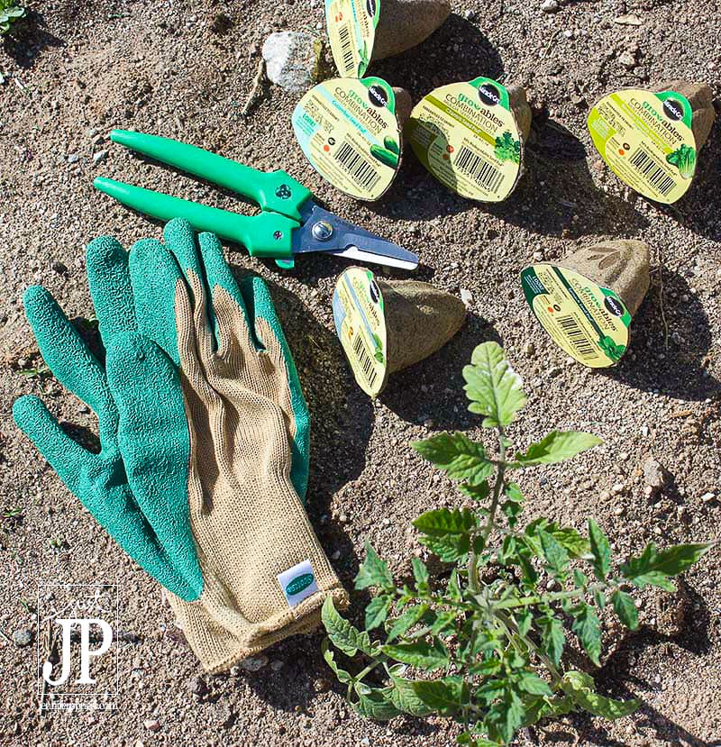 HOW TO START A GARDEN - Smart Fun DIY