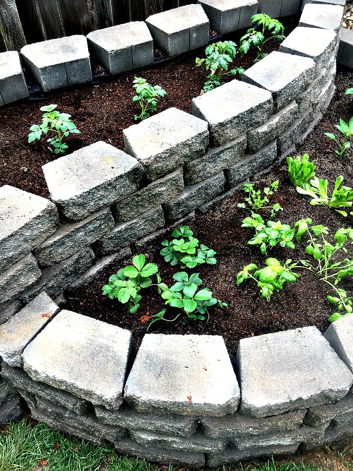 How To Build A Raised Garden with Pavers - Inspiration for Moms