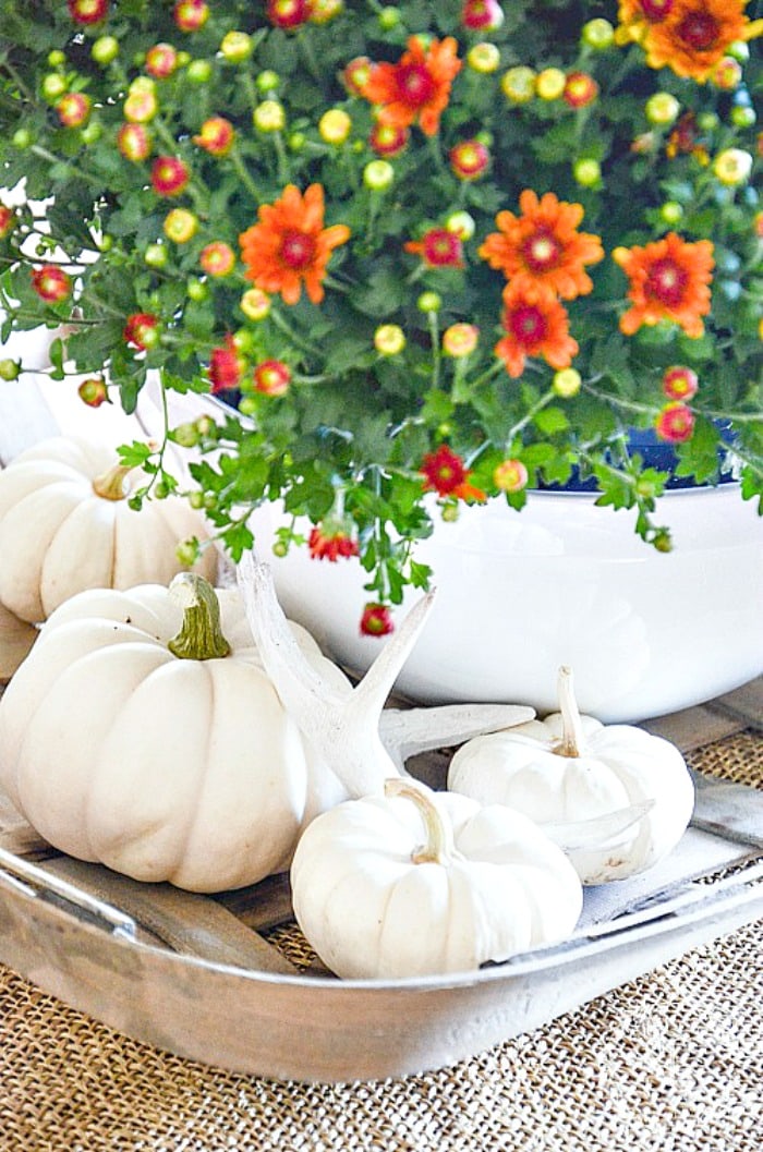 FALL HOME TOUR 2016-part 2-orange-mums-stonegableblog
