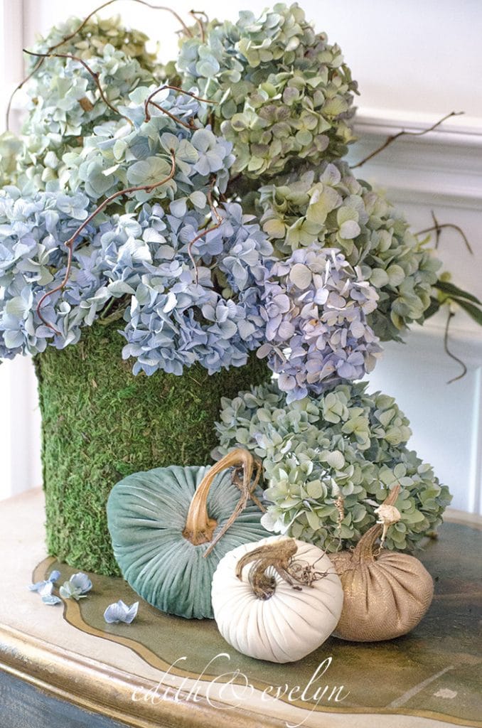 moss planter