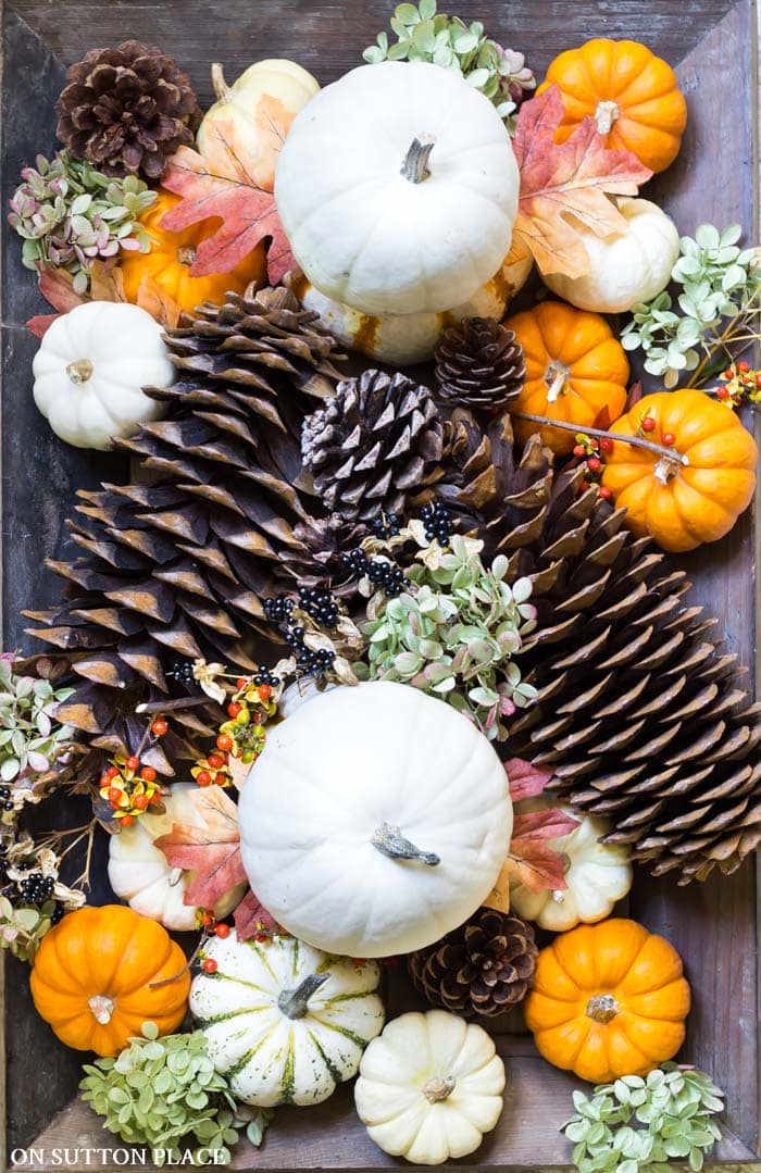 Natural Fall Centerpiece Ideas from On Sutton Place