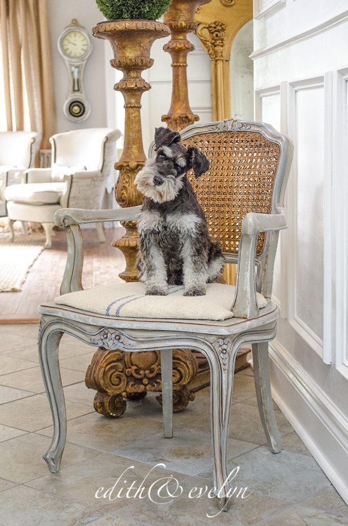 French Cane Chair Redo - E&E 