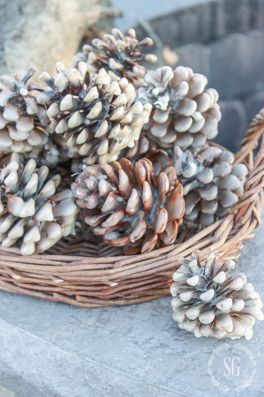 PINECONE FIRE STARTERS-at-fire pit--stonegableblog