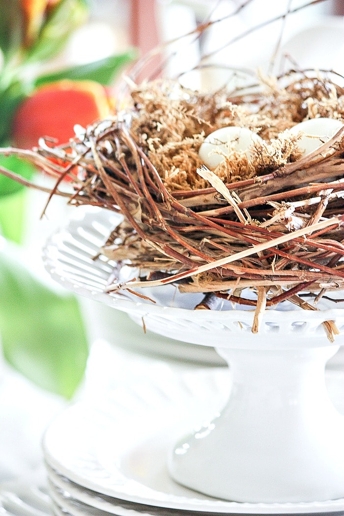 NEST