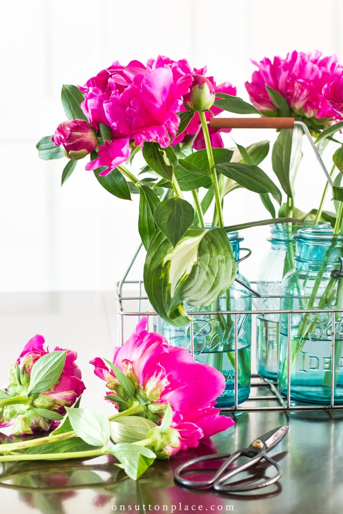 Arranging Peonies from On Sutton Place