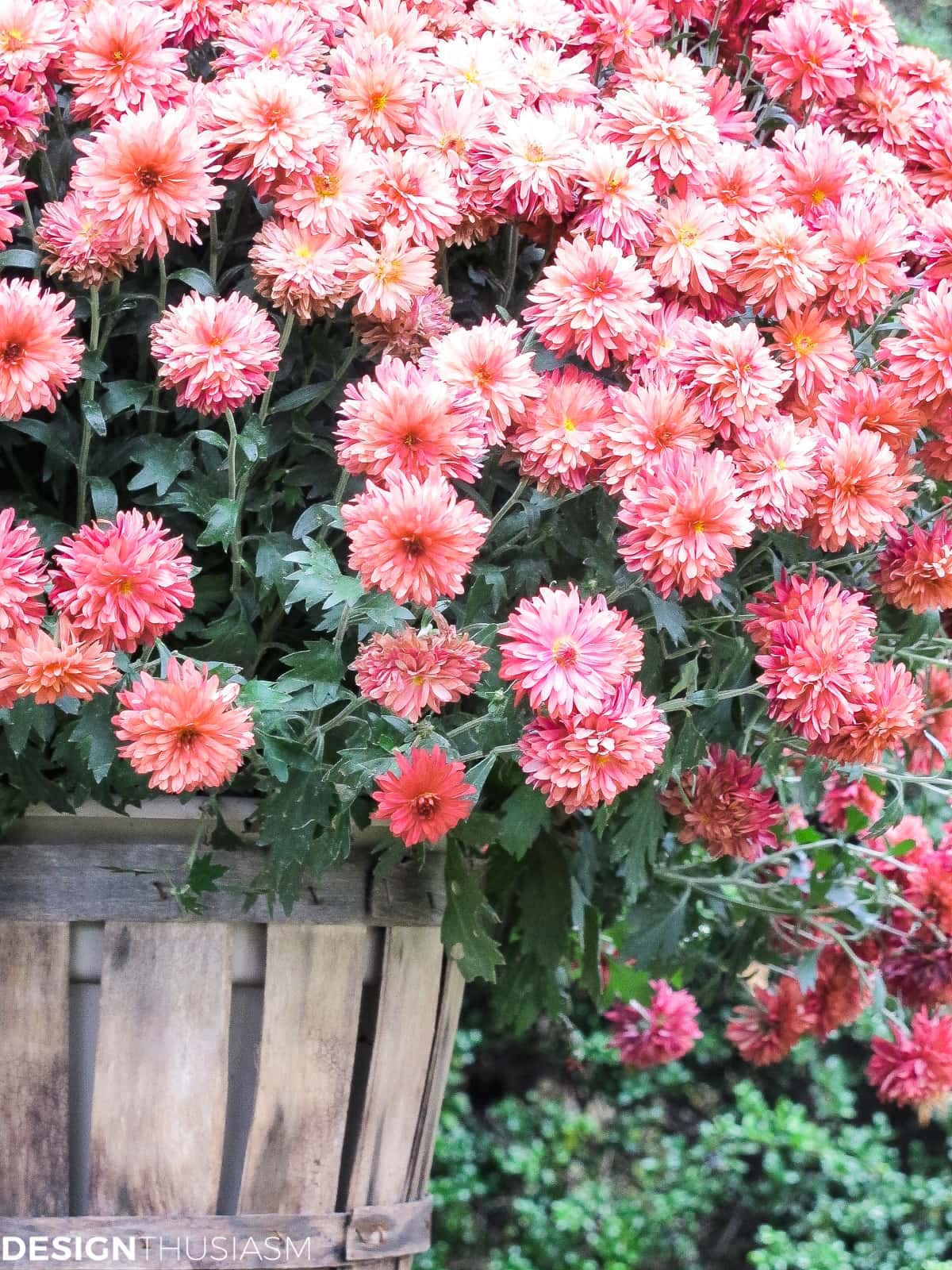 front entry fall decorations with mums