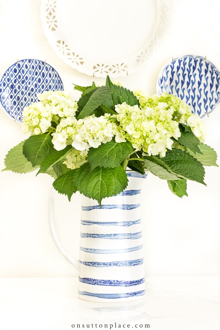 Long Lasting Cut Hydrangeas from On Sutton Place