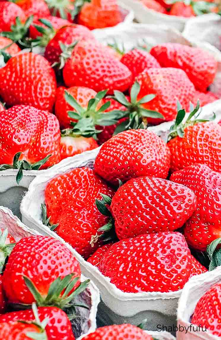 strawberry cobbler shabbyfufu