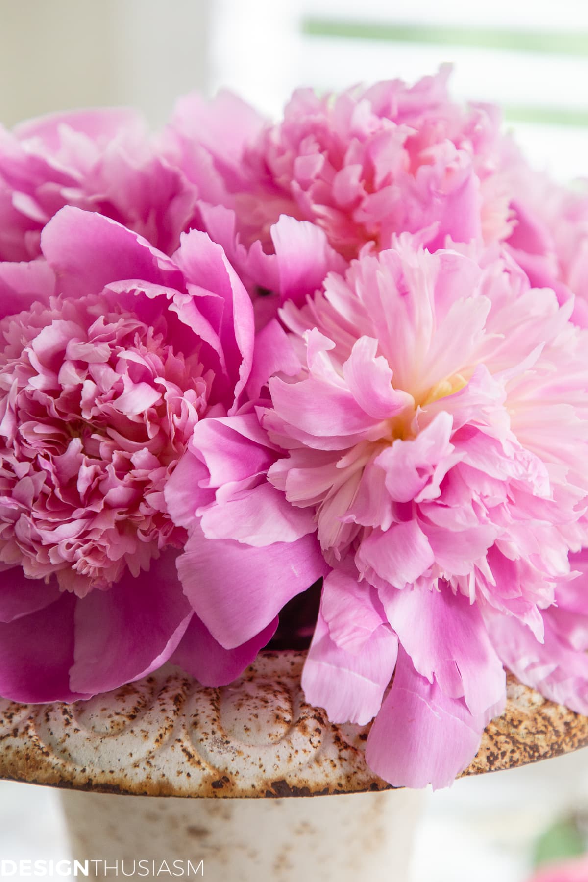 pink peonies in a white vintage urn