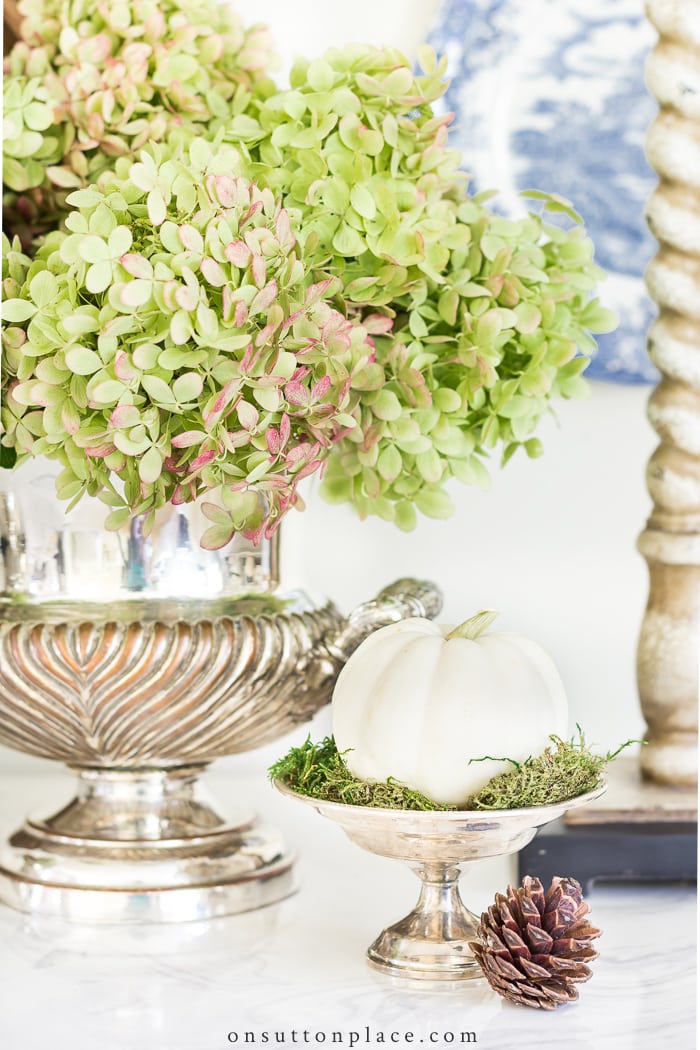 Drying Limelight Hydrangeas from On Sutton Place