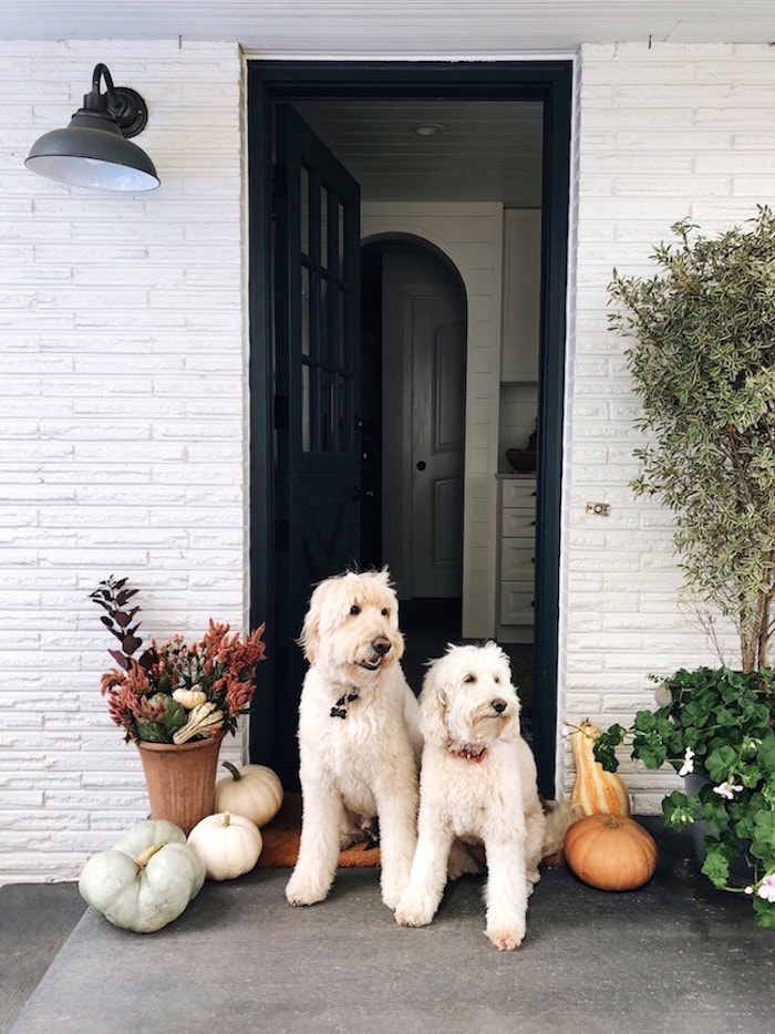 Simple Ways to Create a Welcoming Fall Porch